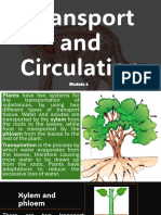 4.4 Transport and Circulation