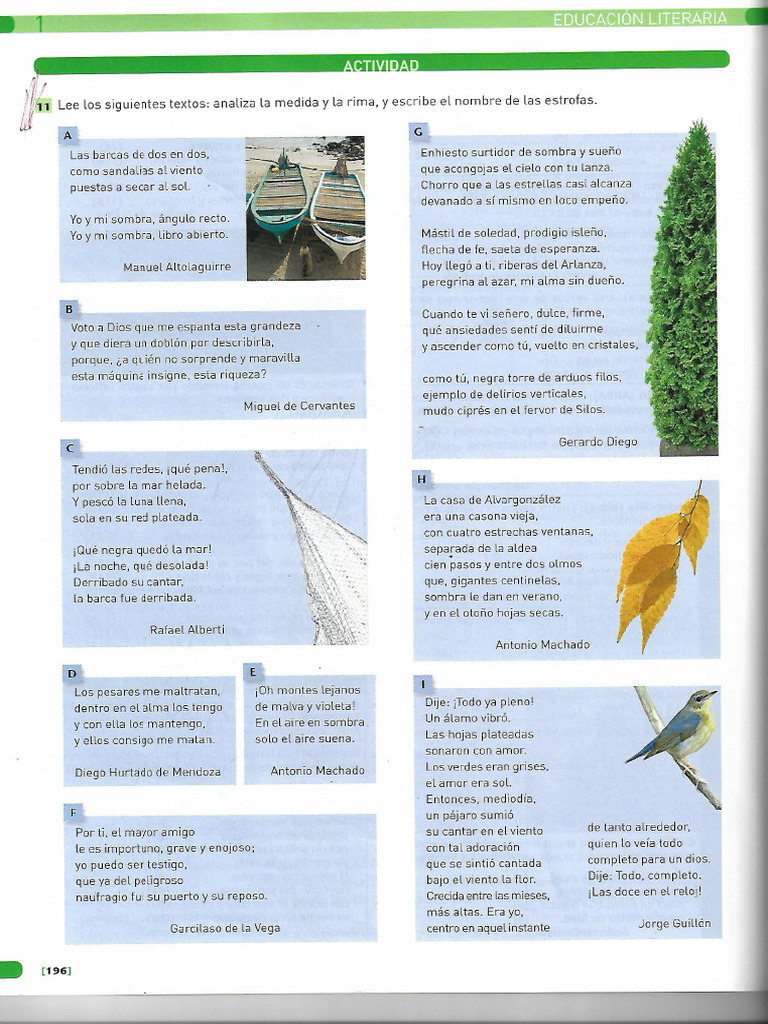 Estrofa | PDF