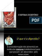 o-sistema-digestrio