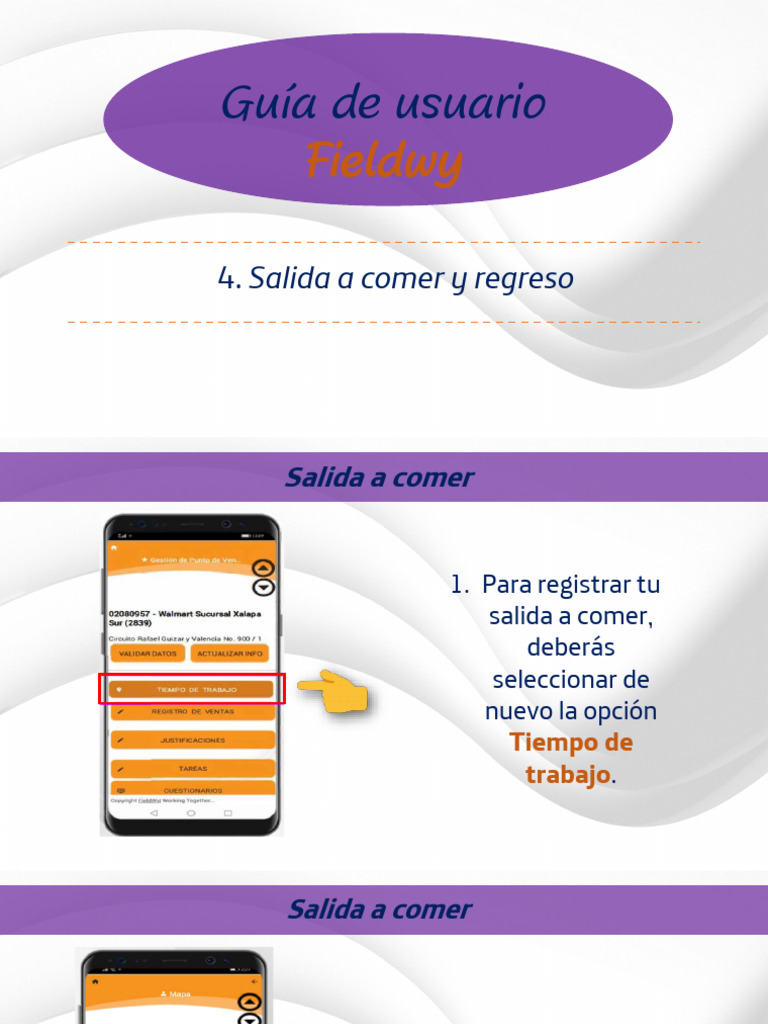 Registro de Comidas en Fieldwy | PDF