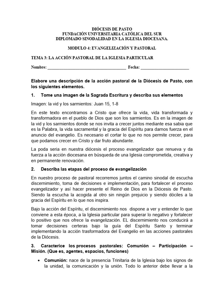 La Accion Pastoral en La Iglesia Particular | PDF | Iglesia Católica ...