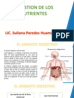 DIGESTION DE NUTRIENTES