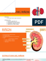 1 - y - 2 (1) Fisio