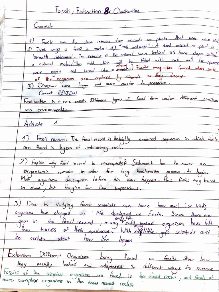 Fossils, Extinction&Classification | PDF