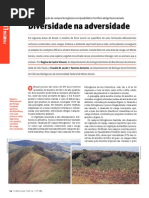 Vegetação de canga