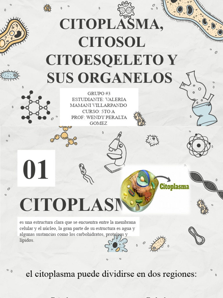 Biologia 5toa Estructura Celular | PDF | Citoplasma | Biología Celular)