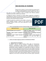 Grupo 5 - Sistema Nacional de Tesorería Resumen