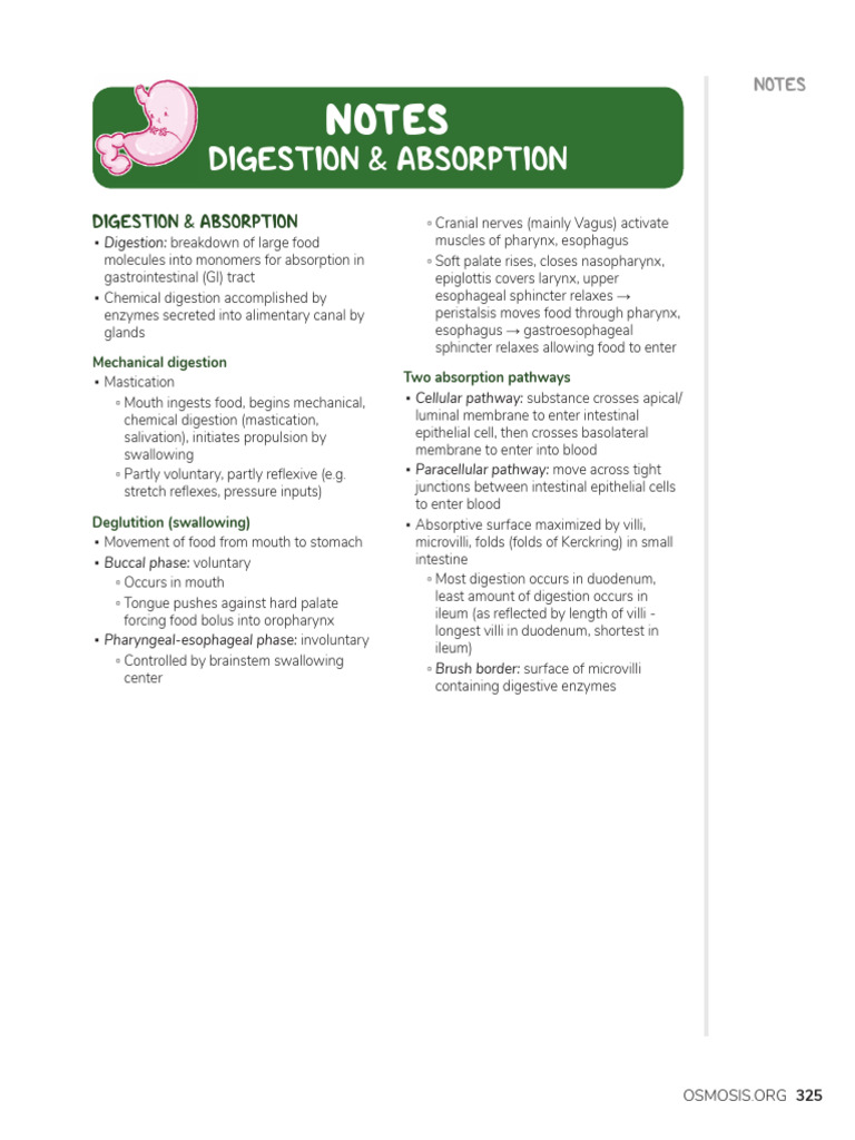 Digestion Pdf Digestion Lipid