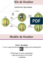 Cancérogenèse Fichier Word 25 Janvier 2021 Pour 2ème Année de Médecine 98 Diapos Avec Narration Version Etudiants 3ème Partie 40 Diapos