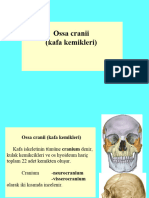 2-E Ost Sunu Kafa