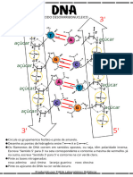 Estrutura Do Dna Jykppq