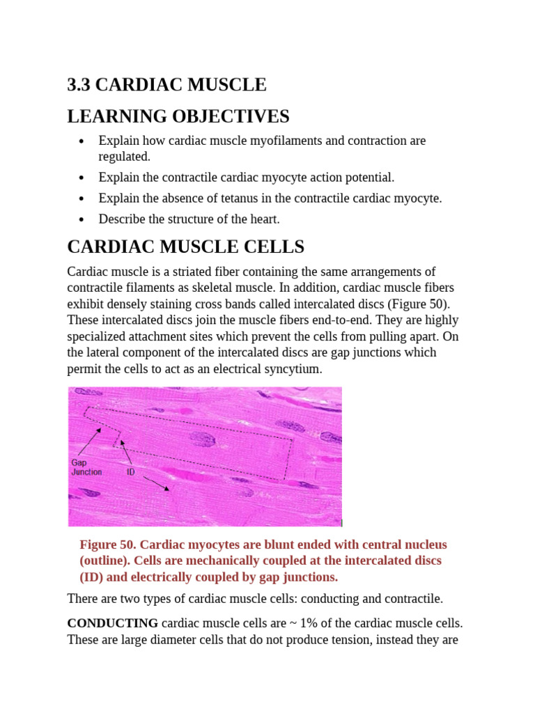 Cardiac Muscle Physiology Overview | PDF | Muscle Contraction | Cardiac ...