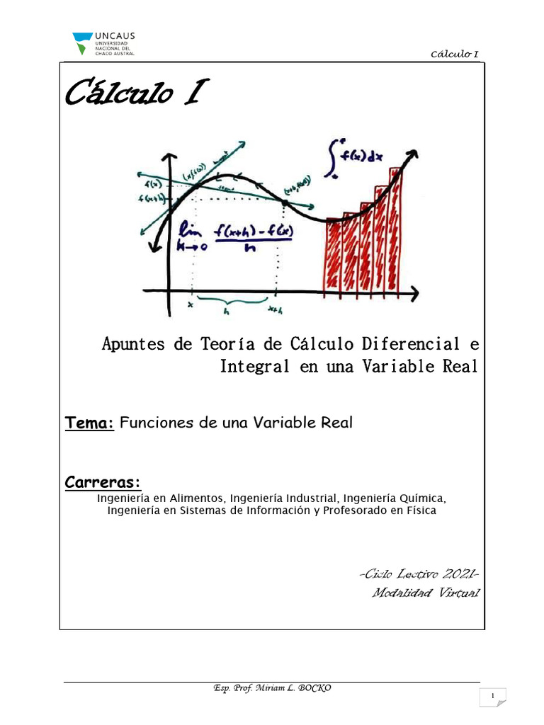 Calculo - FUNCIONES de Una Variable Real | PDF | Función (Matemáticas ...