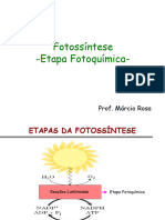 Etapa fotoquímica