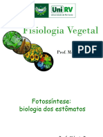 Fotossíntese - Biologia Dos Estômatos