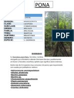 Informe General de Las Plantas