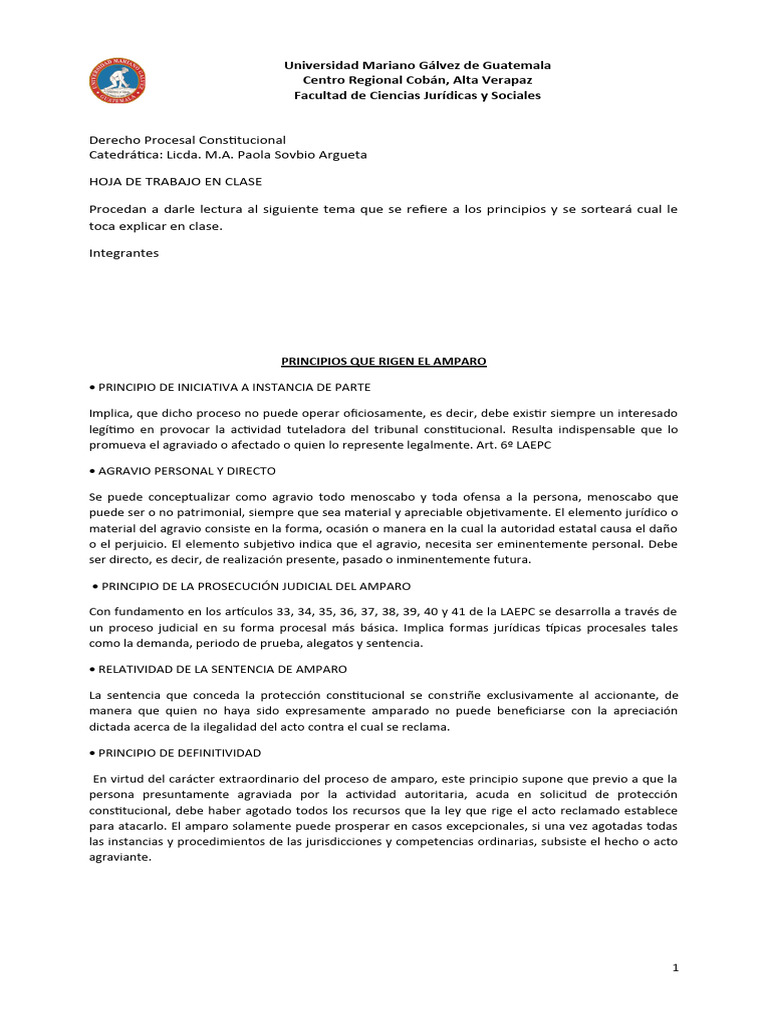 PRINCIPIOS QUE RIGEN EL AMPARO | PDF | Ley procesal | Sentencia (ley)