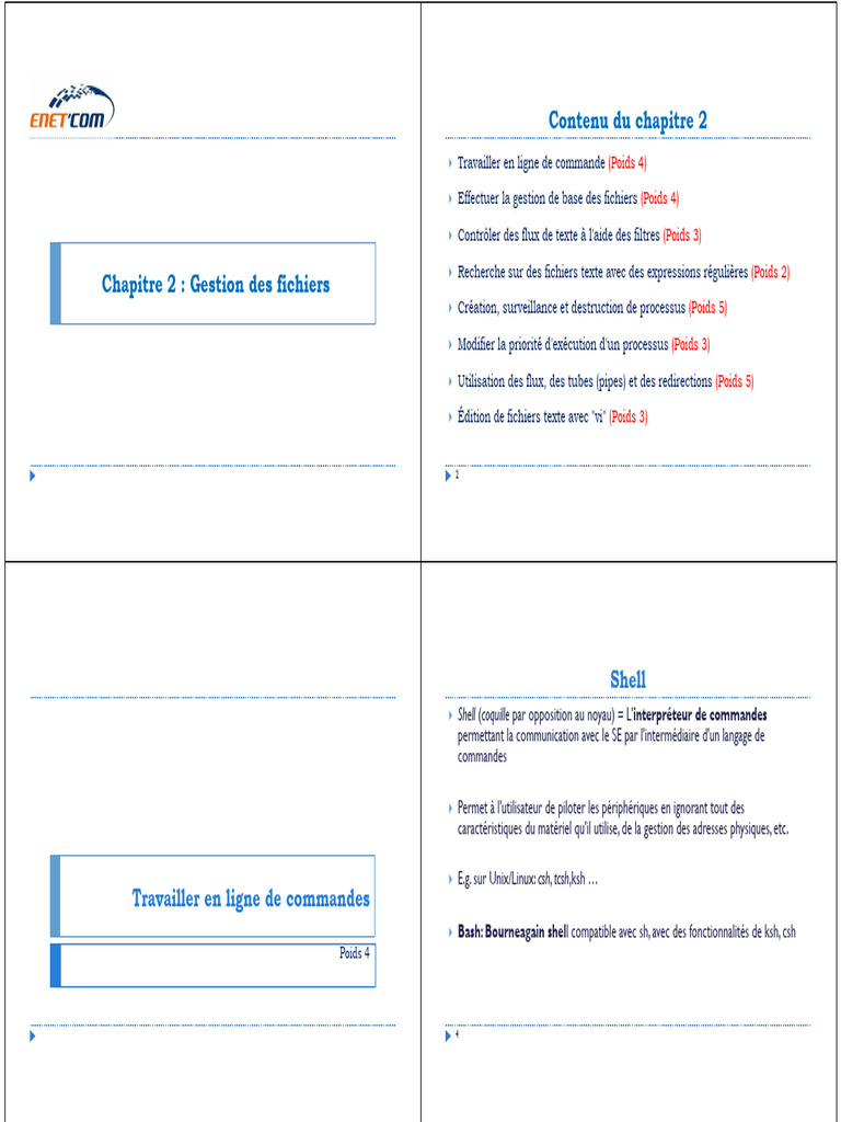 Gestion des fichiers en ligne de commande | PDF | Expression régulière ...