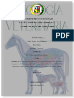 Consulta de Fisiologia Veterinaria I