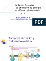 Fosforilacion oxidativa-Inhibidores-Desacoplantes 2023-1