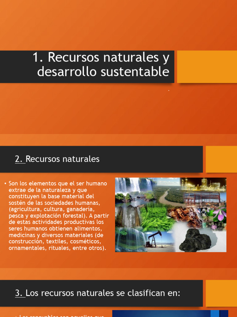 Uso Sustentable de Los Recursos Naturales | PDF | Biodiversidad ...