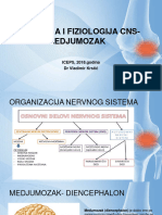 Anatomija I Fiziologija CNS Medjumozak