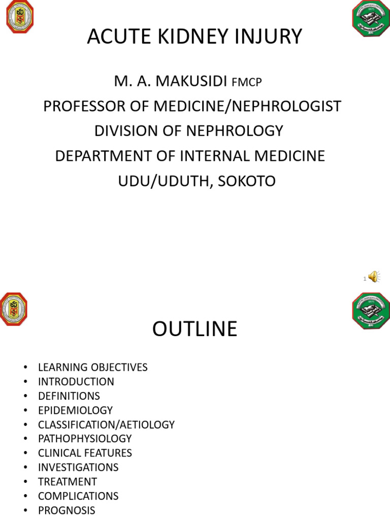 ACUTE KIDNEY INJURY GUIDELINES 2022 PDF visual data 8