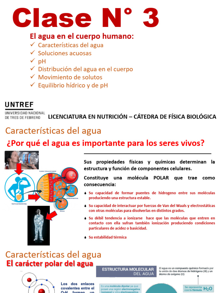 Clase 3 - El Agua en El Cuerpo Humano y PH | PDF | Propiedades del agua ...
