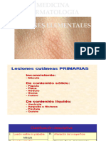 Clase 2. Lesiones Elementales de La Piel - Primarias Parte 1