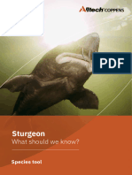 2022 09 Sturgeon Species Tool MD - Web