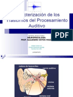 Sac y Vias Auditivas Ppt