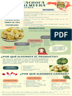 Infografa Alcachofas en Salmuera para Exportación