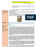 Informe de Experiencia Lúcidos DLM