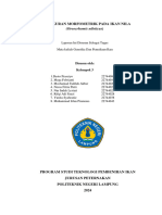 Morfometrik Genetika Kelompok 3 Tpi