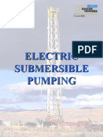 Electric Submersible Pumping