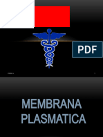 Membrana Plasmatica-Franci Jara