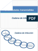 Cadena de infección