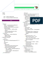 Pons Anatomy - Medicosis Perfectionalis Notes