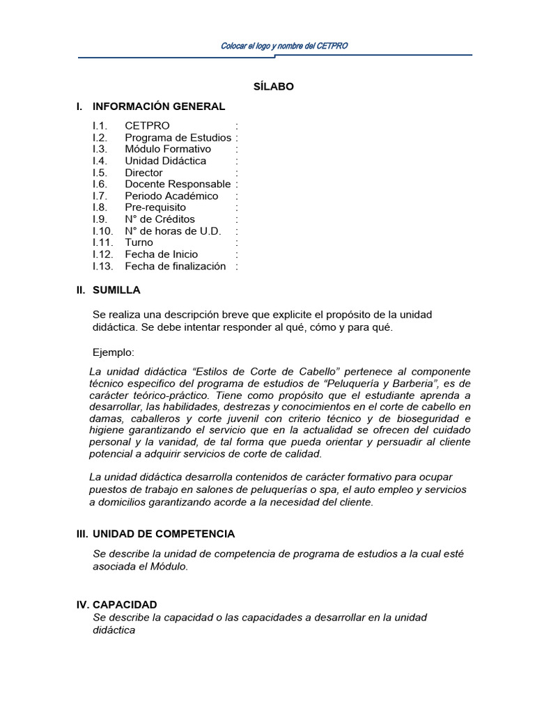 Sílabo para CETPRO: Estilos de Aprendizaje | PDF | Aprendizaje | Evaluación