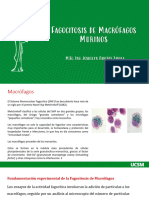 FBQ_BC_Práctica N°8_Presentación_Lisosomas 2