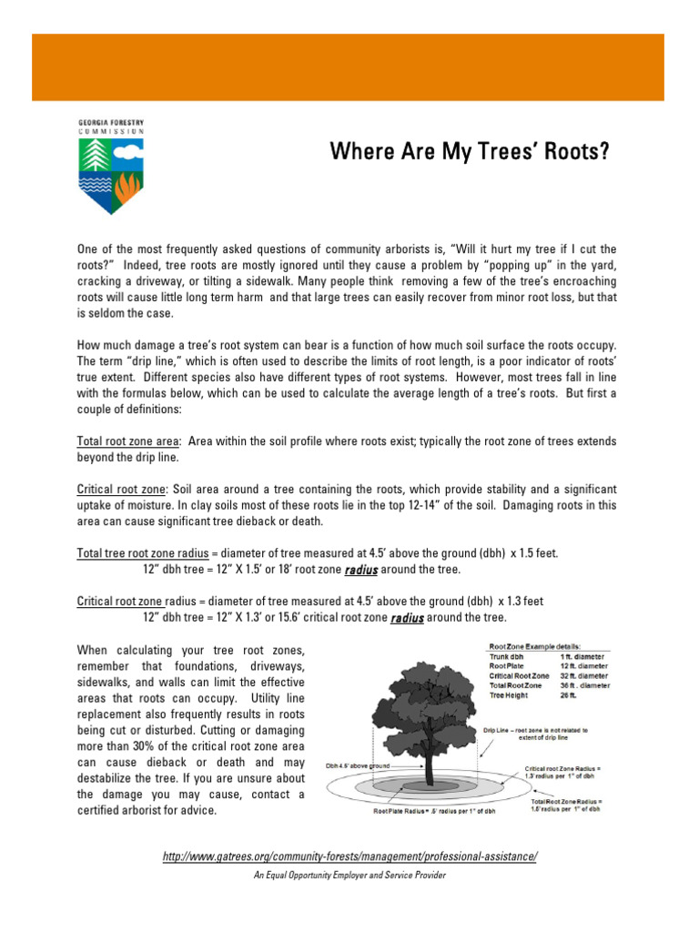 Where Are My Trees Roots | PDF | Home & Garden