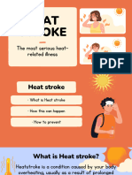 What is Heat Stroke PPT presentation