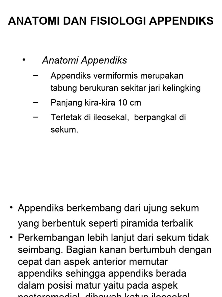 Anatomi dan Fisiologi Appendiks Manusia | PDF | Seni