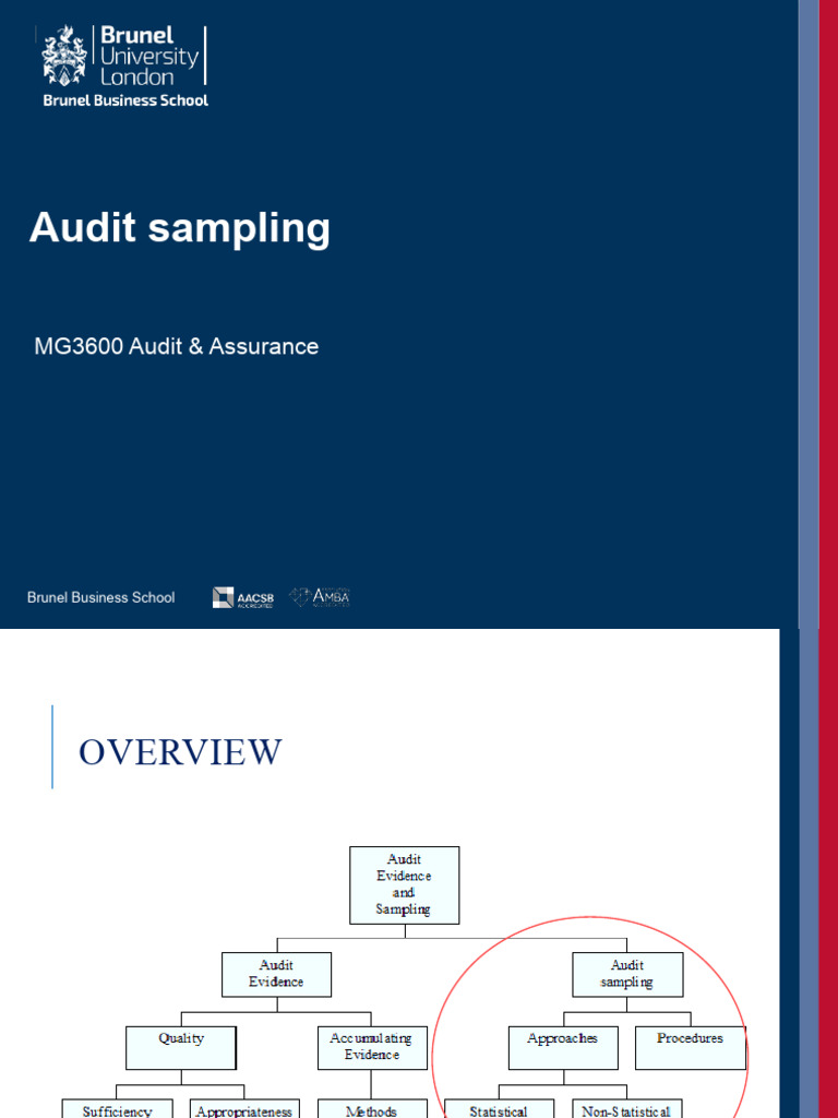 Understanding Audit Sampling Techniques | PDF | Audit | Sampling ...