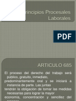 Principios Procesales Laborales