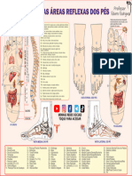 Mapa Dos Pontos Reflexos Dos Pés