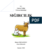 Sigircilik