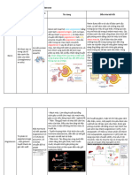 Hệ-thống-Renin-Angiotensin