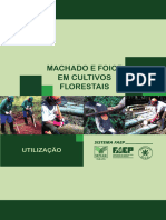 PR.0251-Machado-Foic