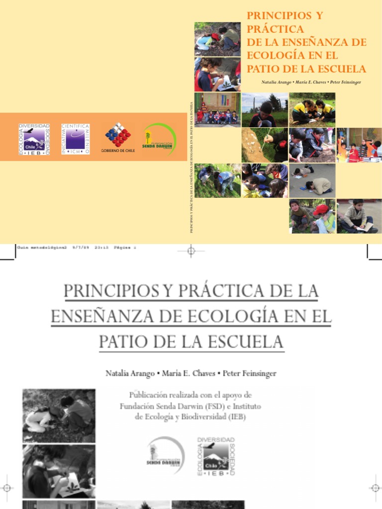 Guia EEPE Final | PDF | Maestros | Plan de estudios